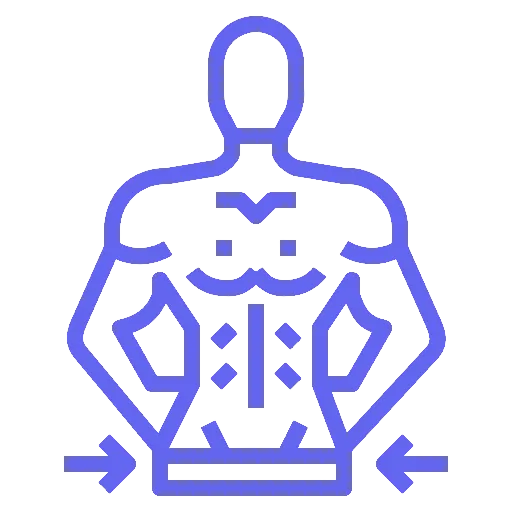 Body Recomposition Program