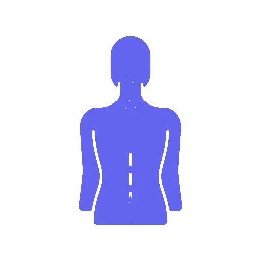 Posture Correction Program